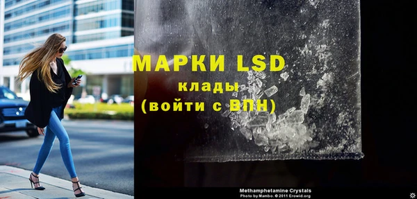 apvp Верея