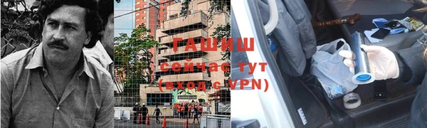 apvp Верея