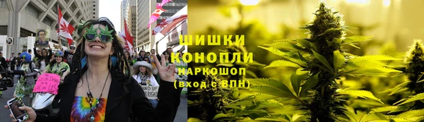 ПСИЛОЦИБИНОВЫЕ ГРИБЫ Волосово