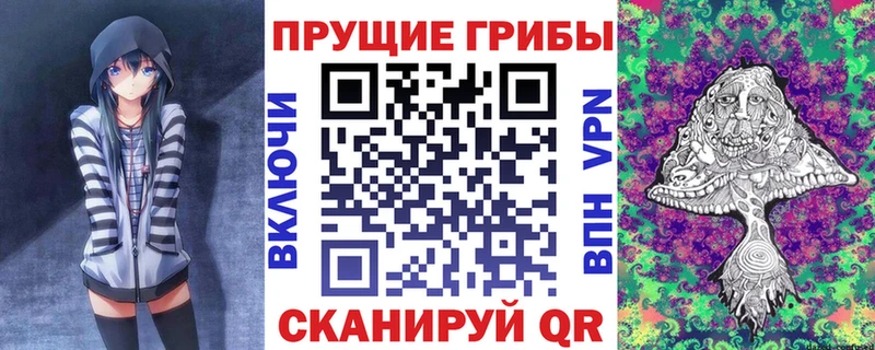 Галлюциногенные грибы Magic Shrooms Купить где Николаевск